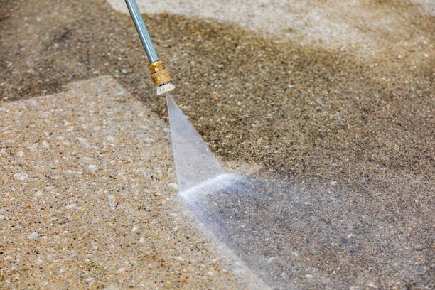 Best Roof Washing  in Exeter, CA
